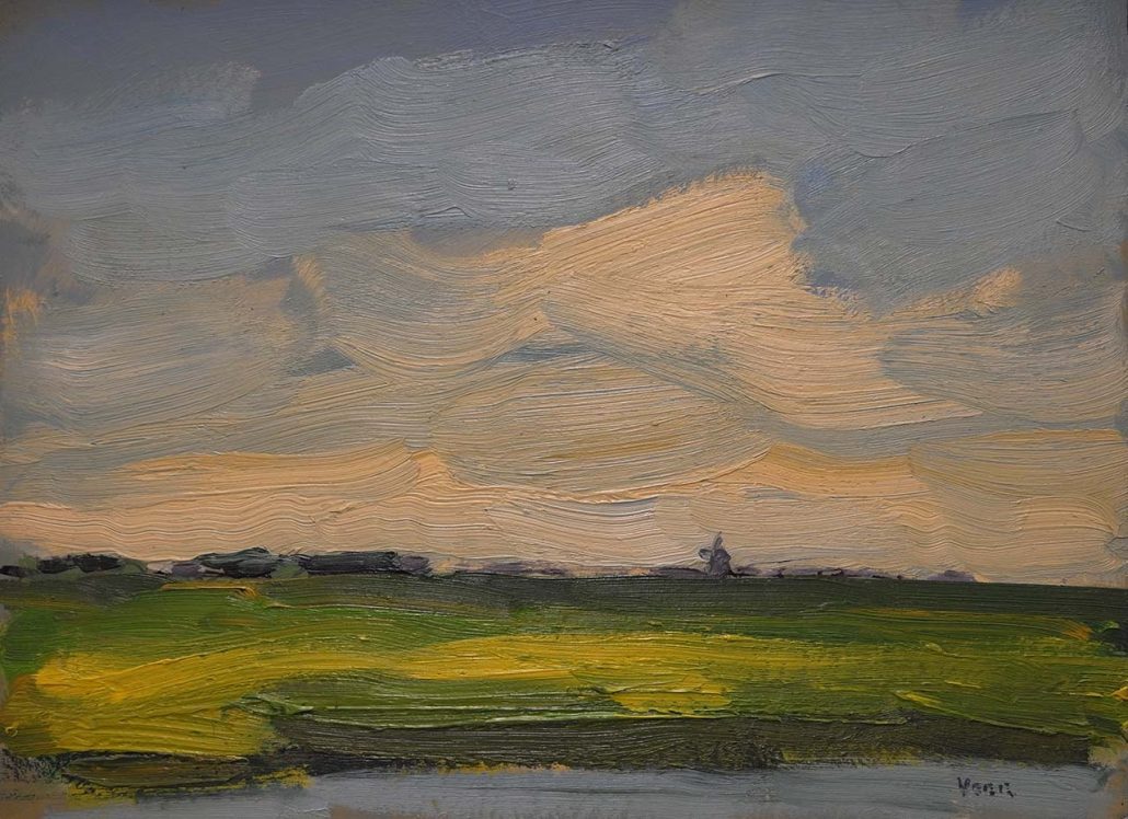 Wim van der Veer - Fries landschap II
