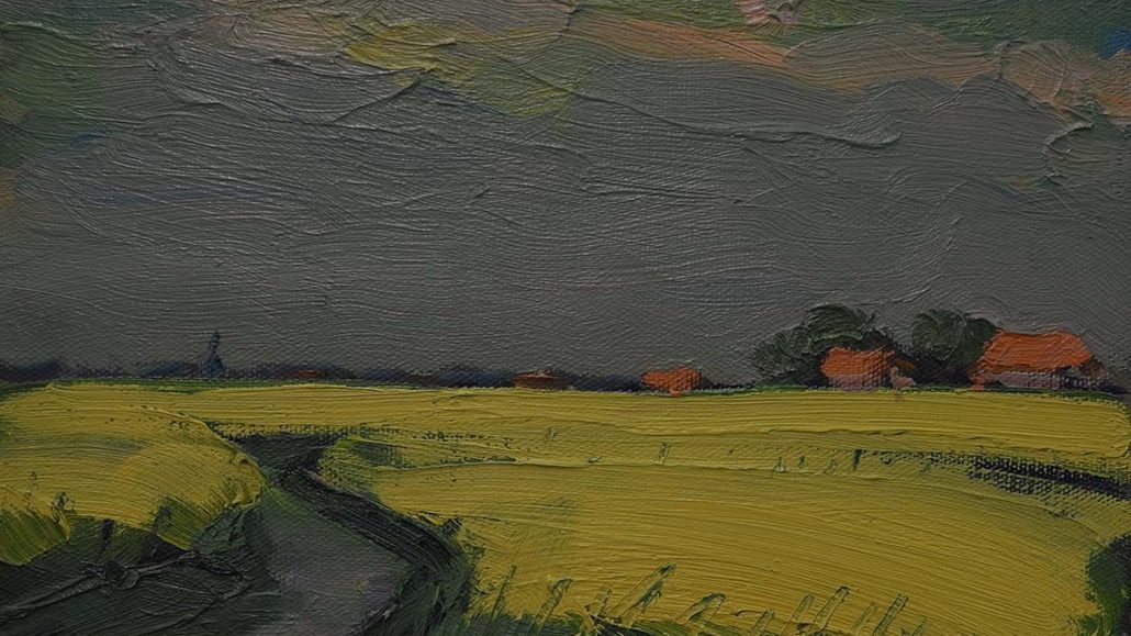 Wim van der Veer - Fries landschap