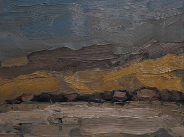 Wim van der Veer - Winters duinlandschap