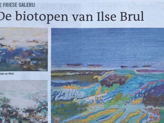 De biotopen van Ilse Brul, Leeuwarder Courant