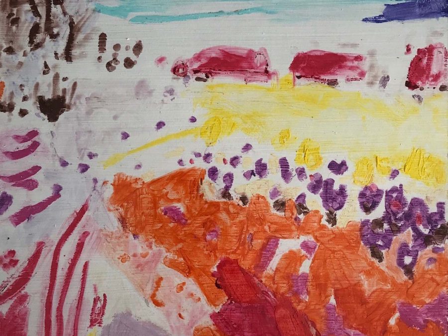 Ilse Brul - Tulpenveld bij Broek