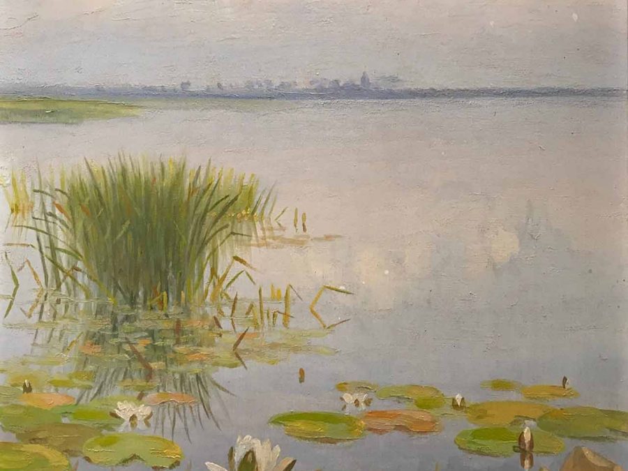 Dirk Smorenberg - Waterlelies