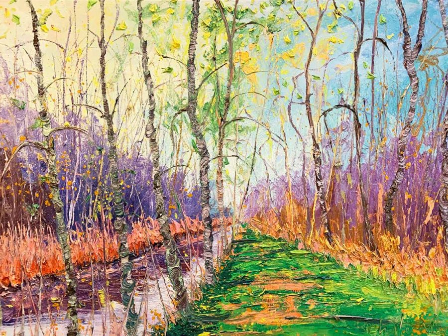 Gertjan Scholte-Albers - LW waterpad