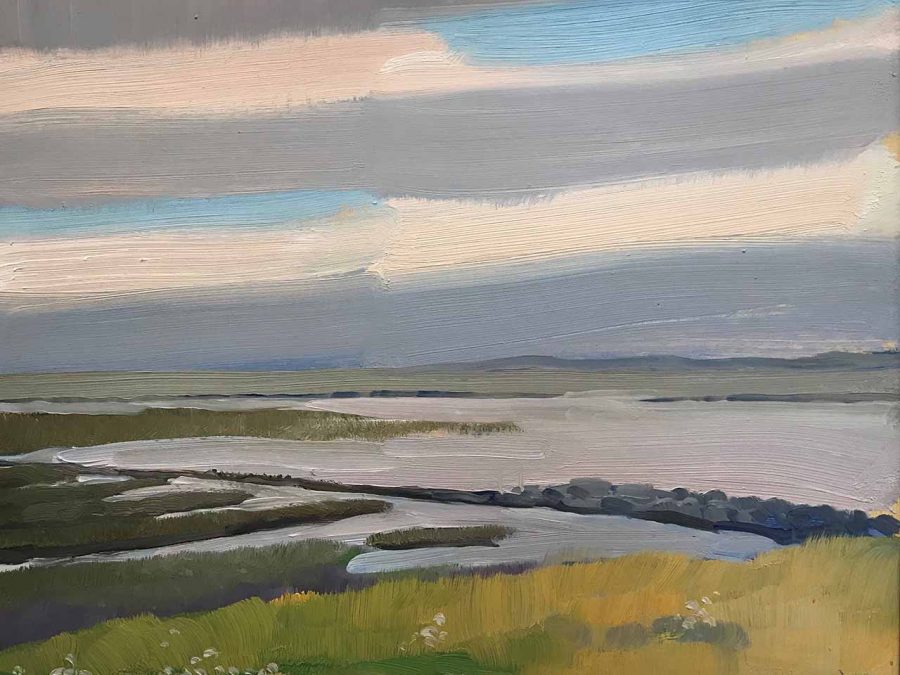 Jentsje Popma - Waterrijk landschap